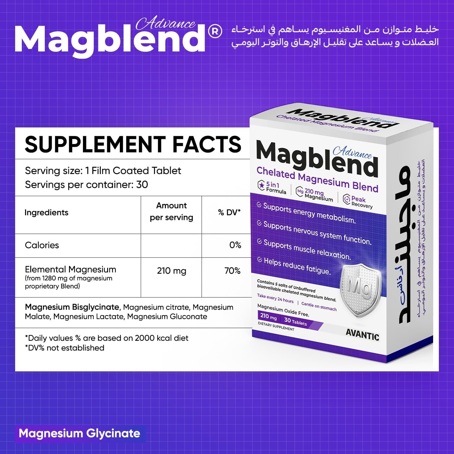 Magblend Advance